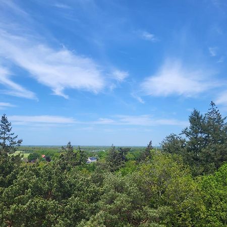 Chalet Alkenhaer Appelscha Zewnętrze zdjęcie