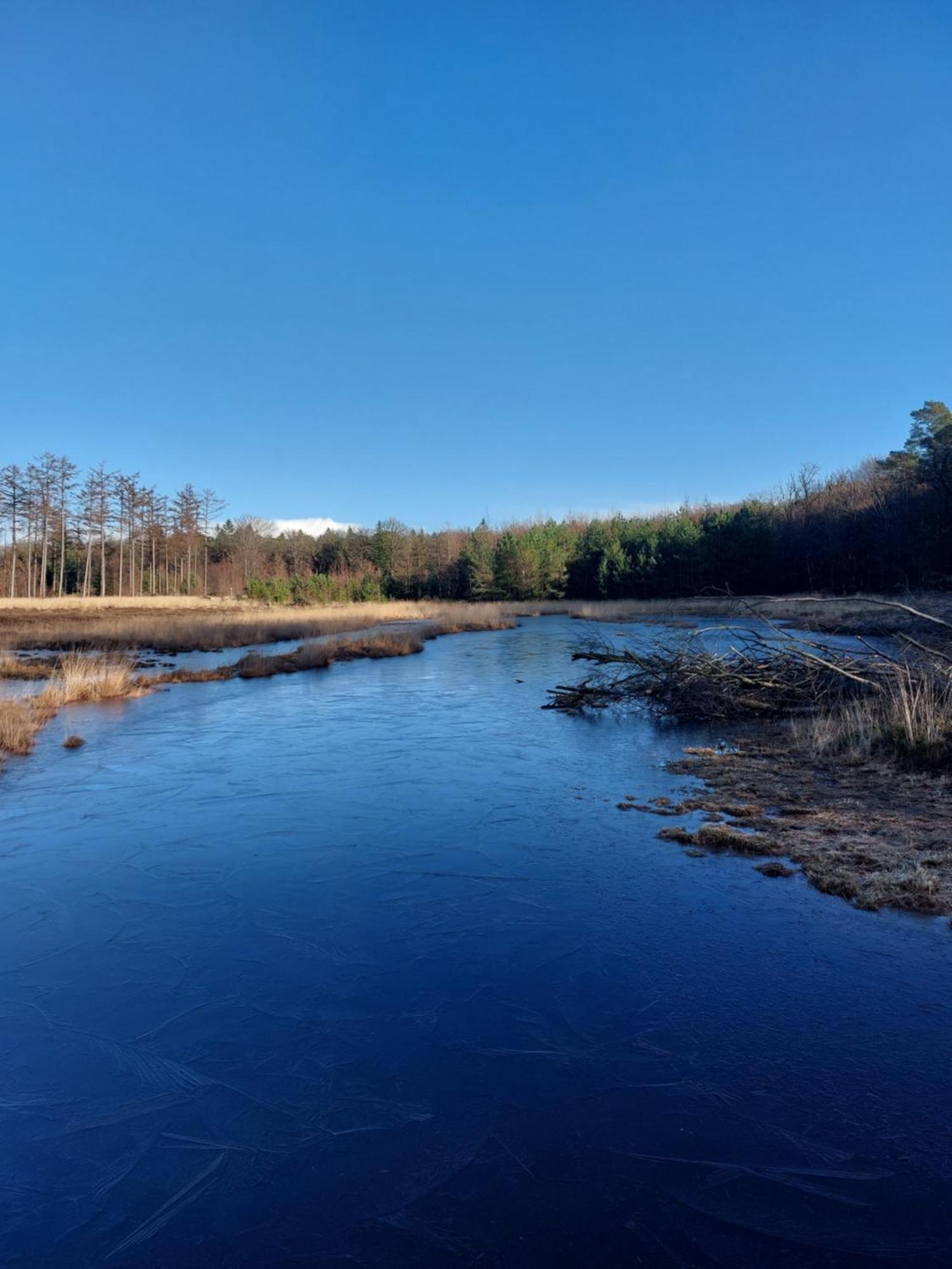 Chalet Alkenhaer Appelscha Zewnętrze zdjęcie